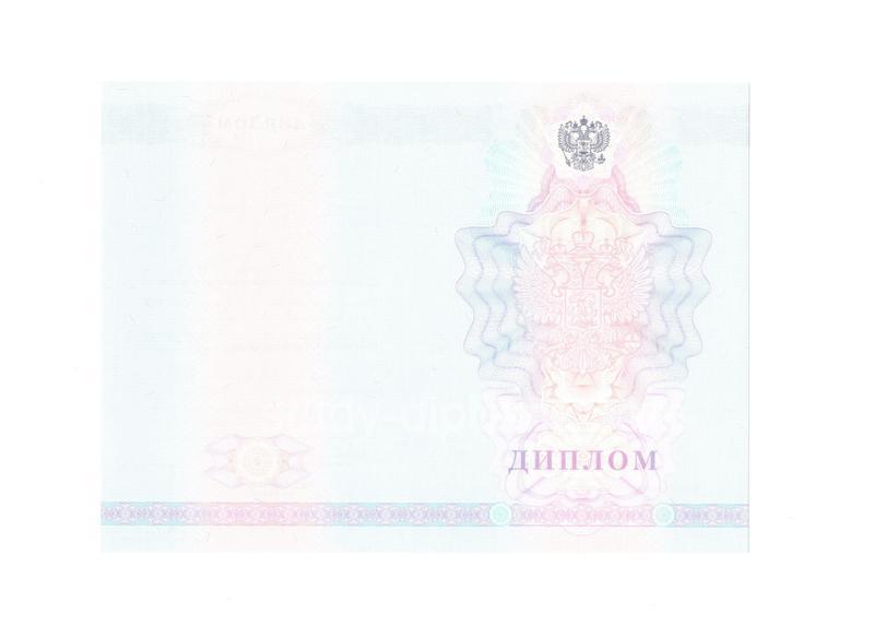 Заказать Диплом техникума с 2007 по 2010 год Заказать Диплом техникума с 2007 по 2010 год