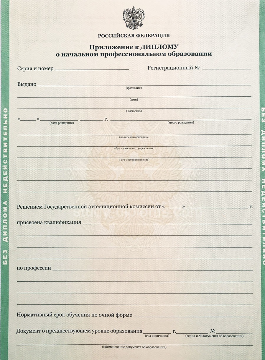 Диплом училища образца 2010 года на бланке Гознака Диплом училища образца 2010 года на бланке Гознака